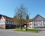 Der Anger in Asmushausen, 2010 Vorschaubild