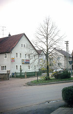 Der Anger in Asmushausen, 1981 Vorschaubild