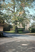 Die Linde in Niederellenbach, 1981 Vorschaubild
