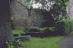 Die Linde in Niederellenbach, 1996 Vorschaubild