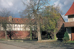 Der Anger in Aue, 1981 Vorschaubild