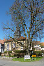 Der Gerichtsplatz in Niedergude, 2010 Vorschaubild
