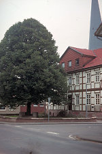 Der Gerichtsplatz in Reichensachsen, 1981 Vorschaubild