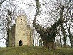 Die Linde vor der Kirchenruine in Abterode Vorschaubild