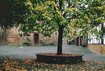 Der Gerichtsplatz in Wichmannshausen, 2000 Vorschaubild