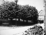 Der Gerichtsplatz in Elgershausen, um 1938 Vorschaubild