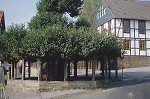 Die Stufenlinde in Hilgershausen, 2000 Vorschaubild