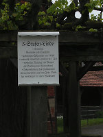 Hinweisschild an der Linde in Hilgershausen, 2010 Vorschaubild