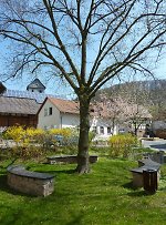 Vorschaubild