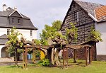 Die geleitete Linde bei der Schule in Grüningen, 2004 Vorschaubild
