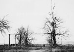 Der Galgenplatz 1904 Vorschaubild