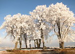 Der Galgenplatz im Winter 2007 Vorschaubild
