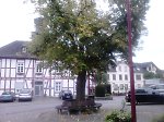 Lindenplatz zwischen Kirche und Rathaus, 2014 Vorschaubild