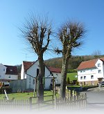 Detailansicht (Datensatz Nr. 136) Vorschau des Bilddokuments