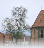 Vorschau des Bilddokuments