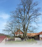 Vorschau des Bilddokuments