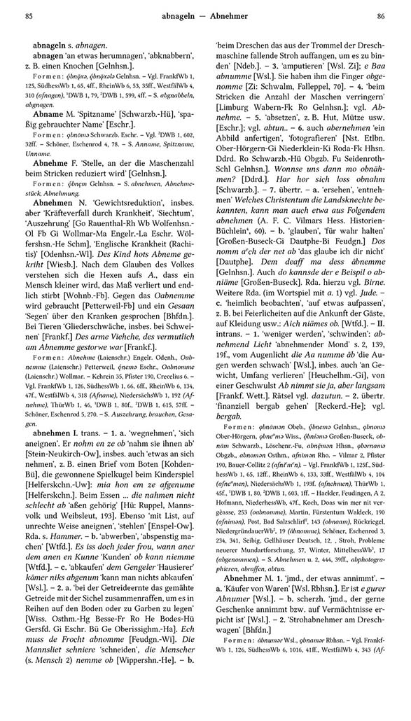 Page View: Volume 1, Columns 85–86