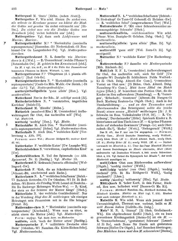 Page View: Volume 2, Columns 403–404