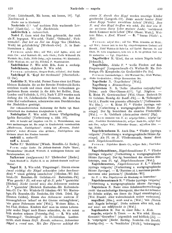Page View: Volume 2, Columns 429–430