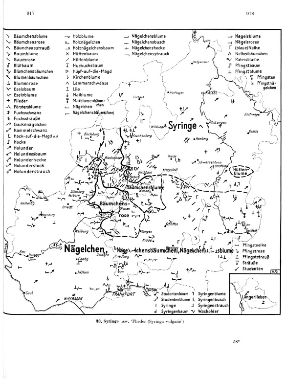 Zum Vergrößern bitte klicken Seitenanzeige: Band 3, Spalten 917–918