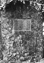 Alsbach-1859_R1 Alsbach-1859_R1