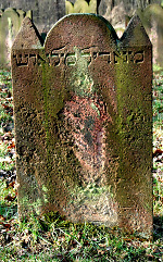 Rückseite, Aufnahme 2010 Vorschaubild