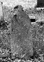 Birstein-307_R Birstein-307_R