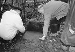 Vorderseite, Aufnahme 2000 Vorschaubild