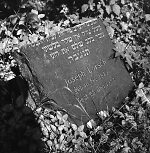 Vorderseite, Aufnahme 1986 Vorschaubild