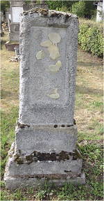 Vorschaubild