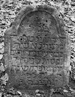 Vorderseite, Aufnahme 1982 Vorschaubild