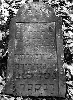 Vorderseite, Aufnahme 1982 Vorschaubild