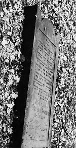 Vorderseite, Aufnahme 1982 Vorschaubild