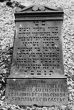 Vorderseite, Aufnahme 1982 Vorschaubild