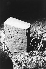 Vorderseite, Aufnahme 1985 Vorschaubild