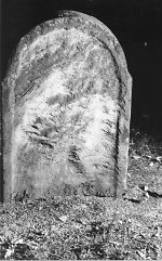 Vorderseite, Aufnahme 1985 Vorschaubild
