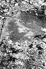 Vorderseite, Aufnahme 1985 Vorschaubild