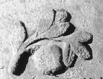 Vorderseite, Aufnahme 1985 Vorschaubild