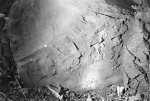 Vorderseite, Aufnahme 1985 Vorschaubild