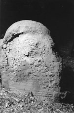 Vorderseite, Aufnahme 1985 Vorschaubild