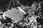 Vorderseite, Aufnahme 1985 Vorschaubild