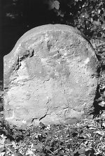 Vorderseite, Aufnahme 1985 Vorschaubild