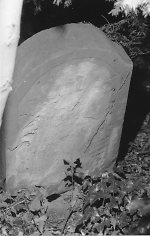 Vorderseite, Aufnahme 1985 Vorschaubild