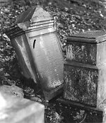 Vorderseite, Aufnahme 1991 Vorschaubild