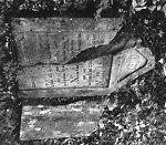 Vorderseite, Aufnahme 1988 Vorschaubild