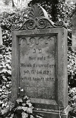 Vorschaubild