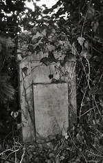 Vorderseite, Aufnahme 2002 Vorschaubild