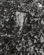Vorderseite, Aufnahme 2002 Vorschaubild