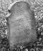 Vorderseite, Aufnahme 1982 Vorschaubild