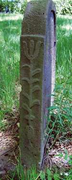 Vorderseite, Aufnahme 1982 Vorschaubild